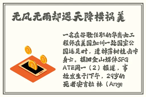 夜勤楼栋1-12樱花未增减